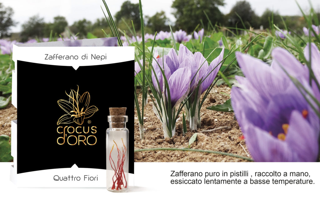 crocus d'oro, saffron threads, crocus card, italian saffron